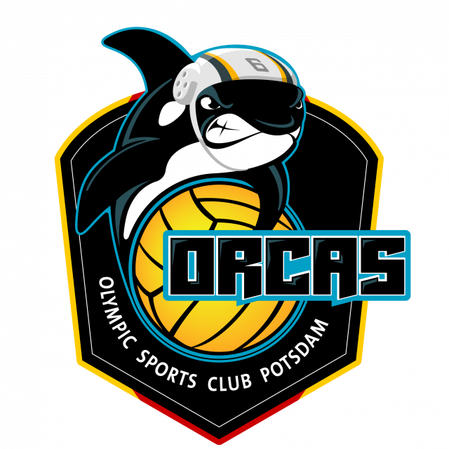 Orcas Potsdam Wasserball